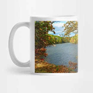 Murphysboro Lake (7) Mug